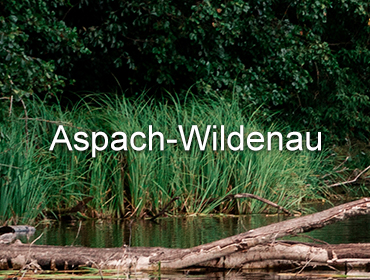 Standort-Aspach-Wildenau